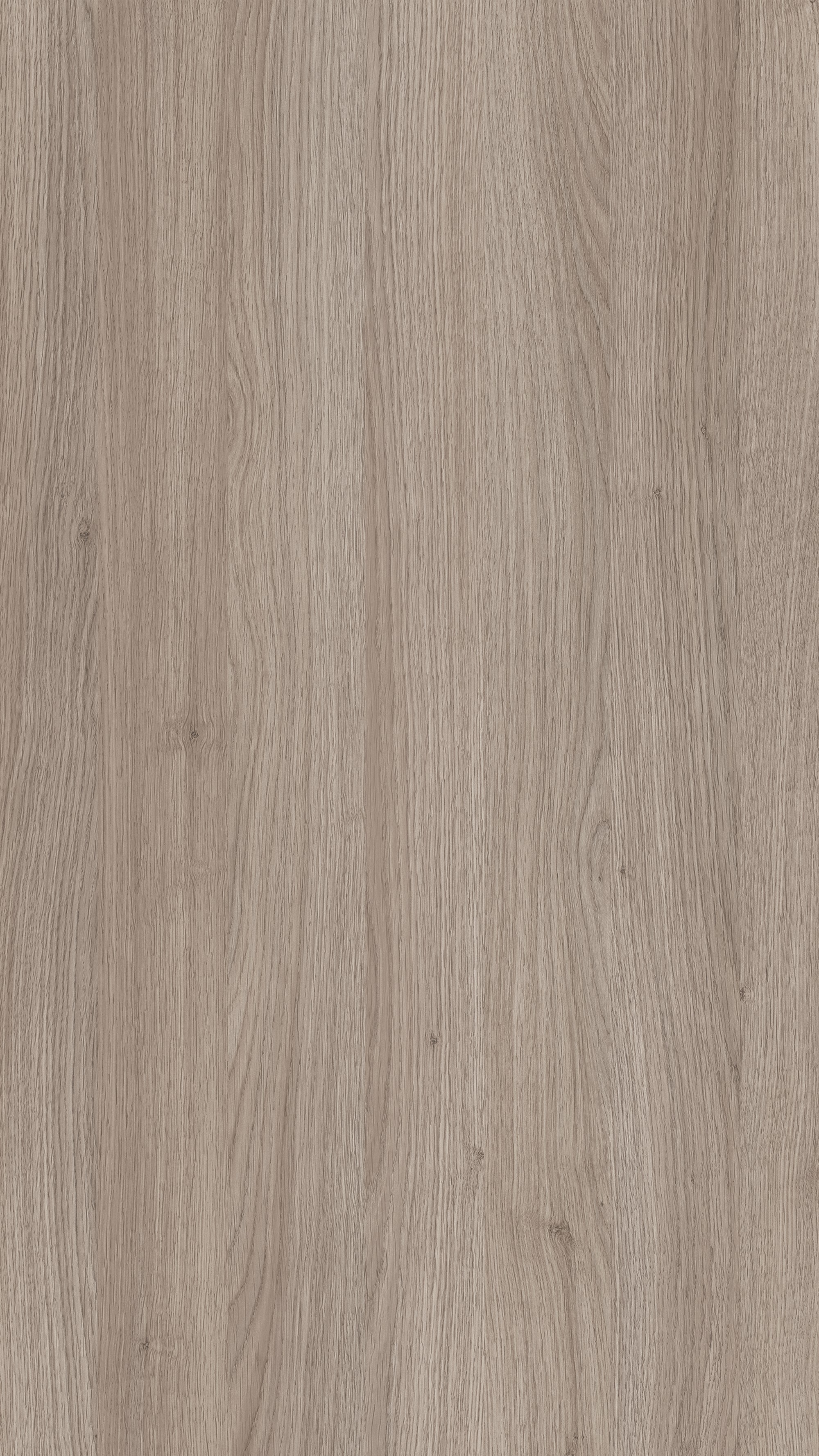 ลามิเนตปิดผิว SSF 2226 RM Clover Oak