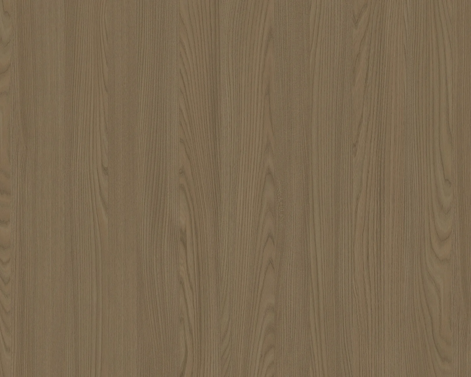 Karl Hoffmann Elm