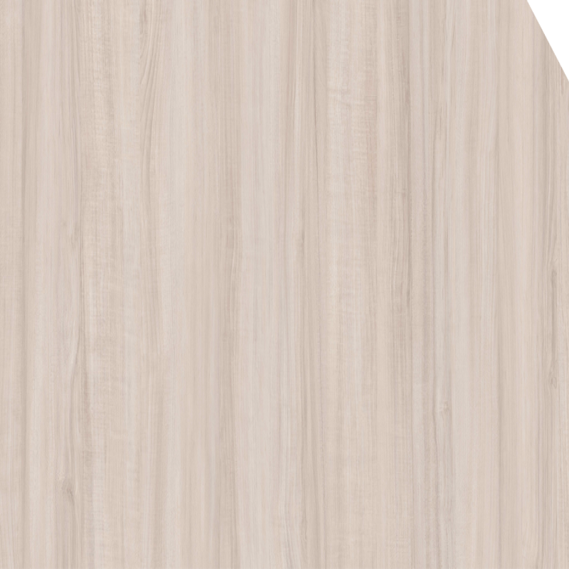 Albatross Teak