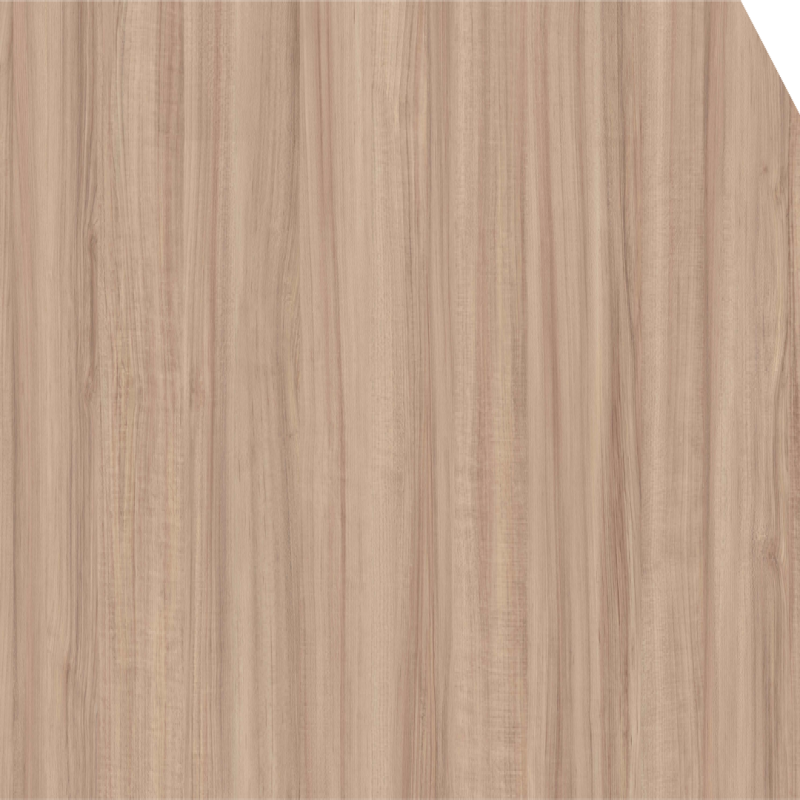 Brown Albatross Teak