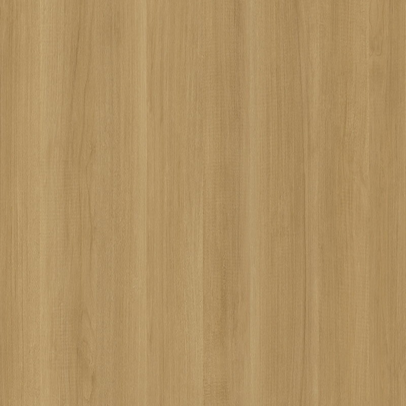 Bondi Birch
