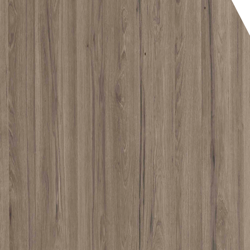 Hickory Aria