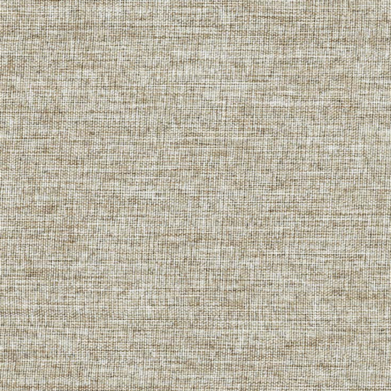 SHADE 8