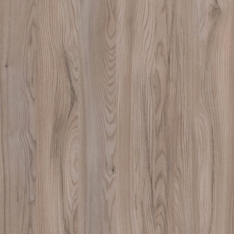 Hokaido Elm-Woodrift