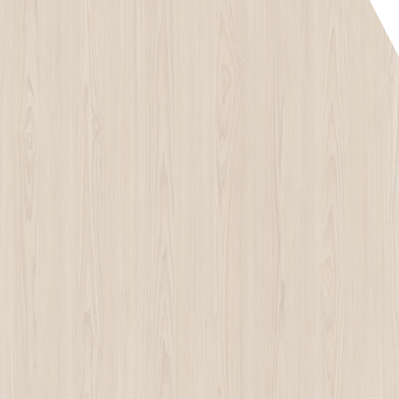 Light Macquarie Maple