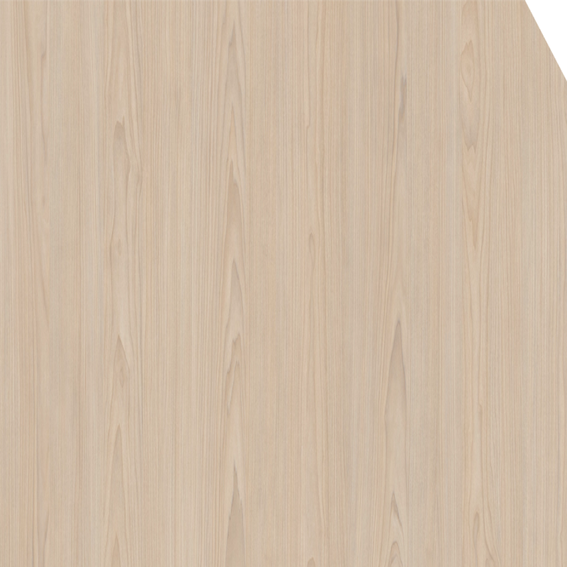 Macquarie Maple
