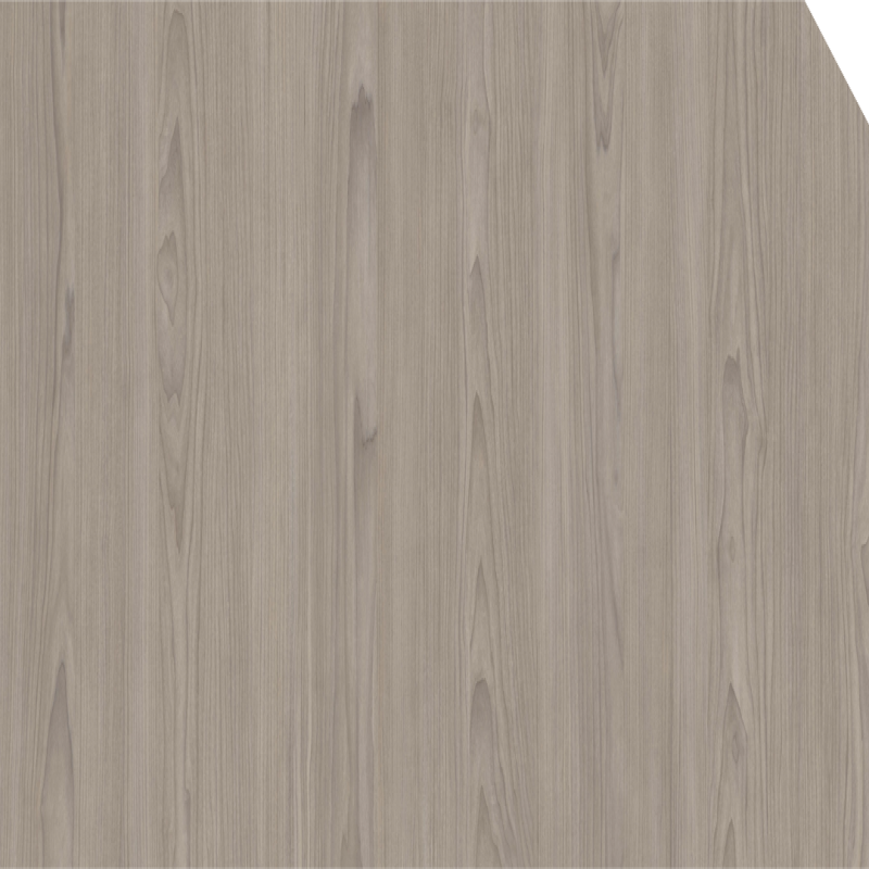 Grey Macquarie Maple