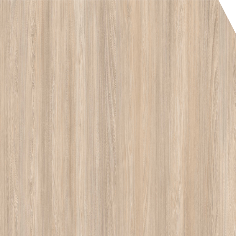 Bolzano Elm