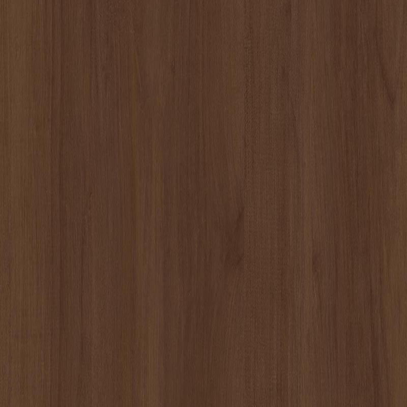 Brown Bondi Birch