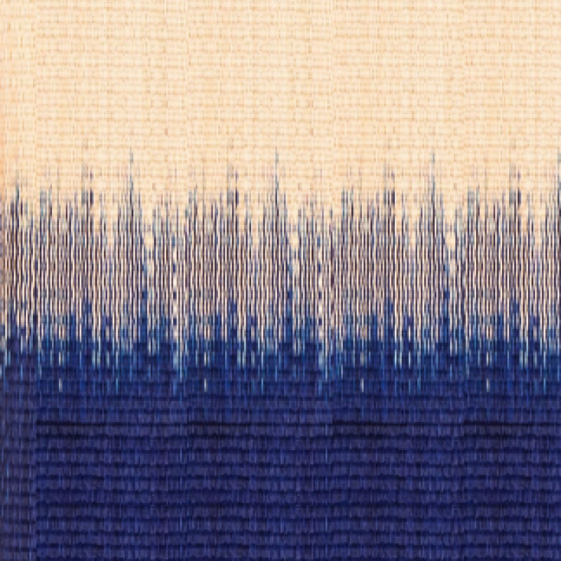 Signature Gradient