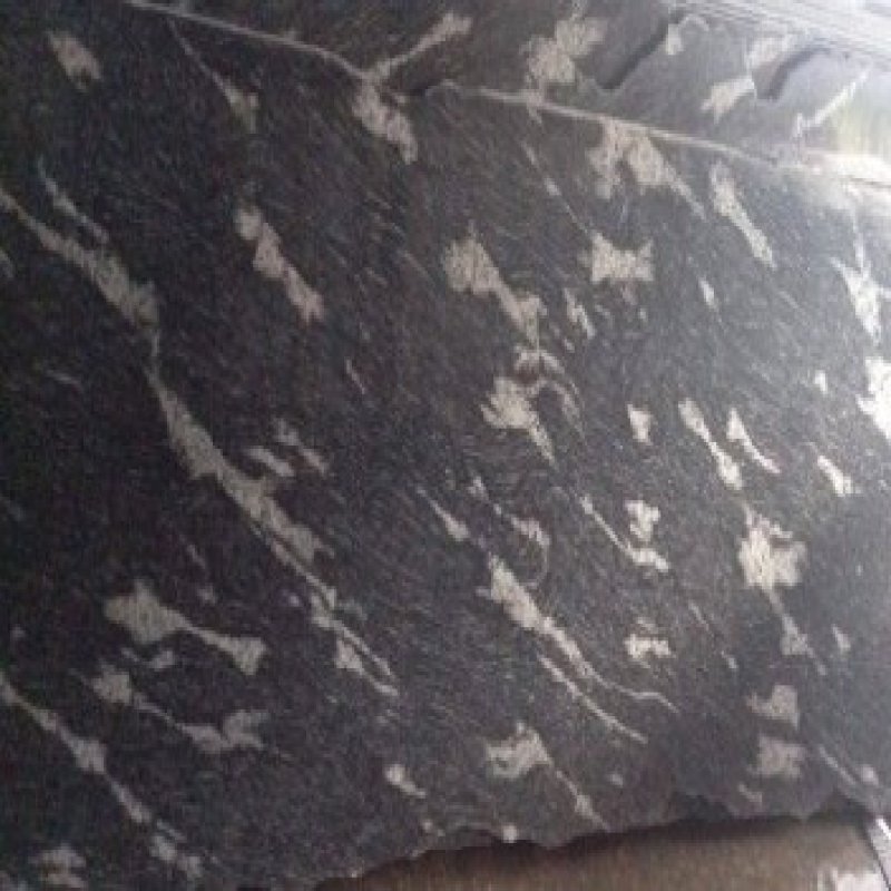 Fish Black 