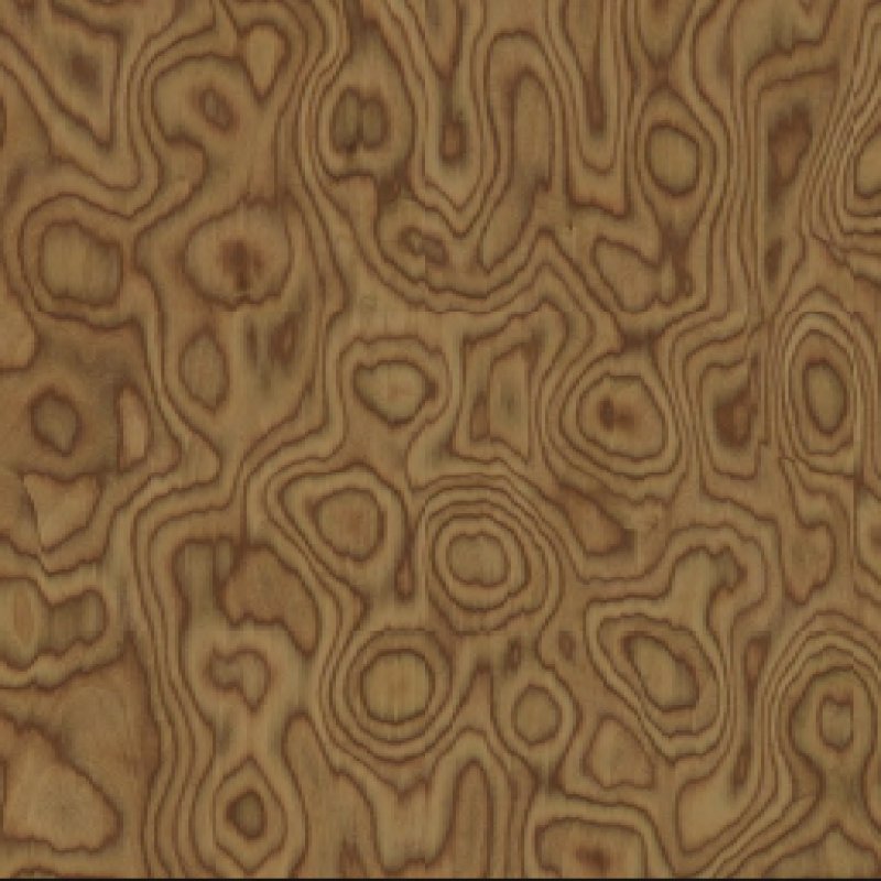Premium Recomposed T.Burl 11