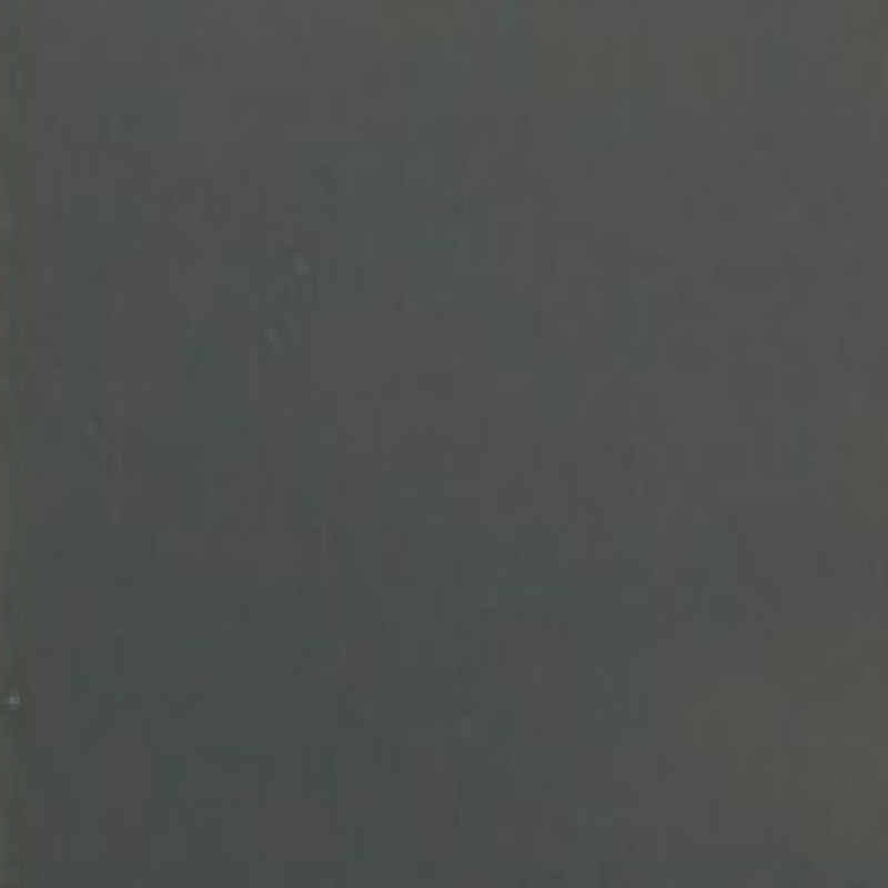 Aster Grey