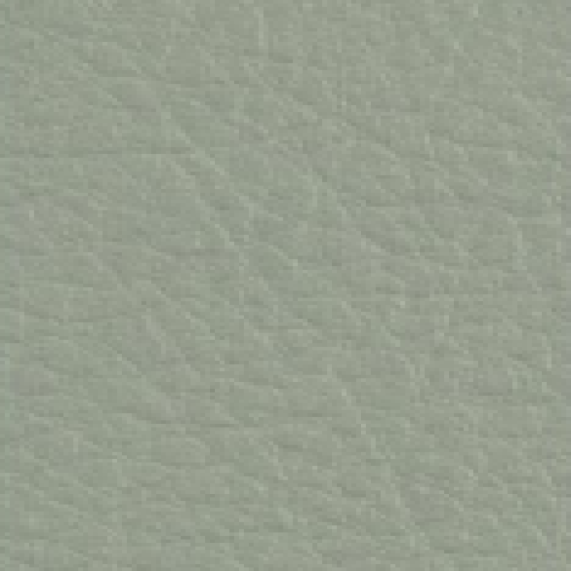 Grey Feather