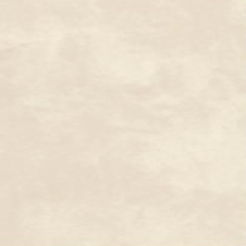 ROYAL LEGO BEIGE Surface: R10