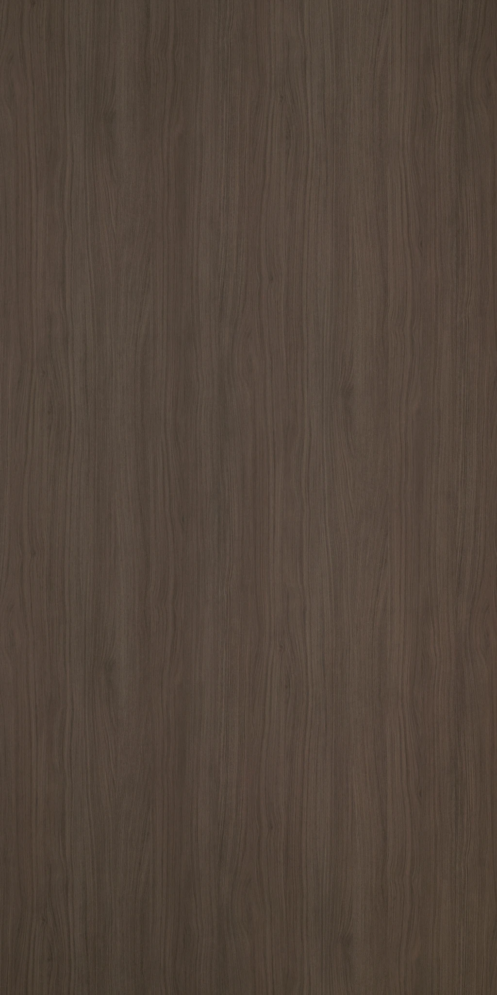 ARABELLA WALNUT