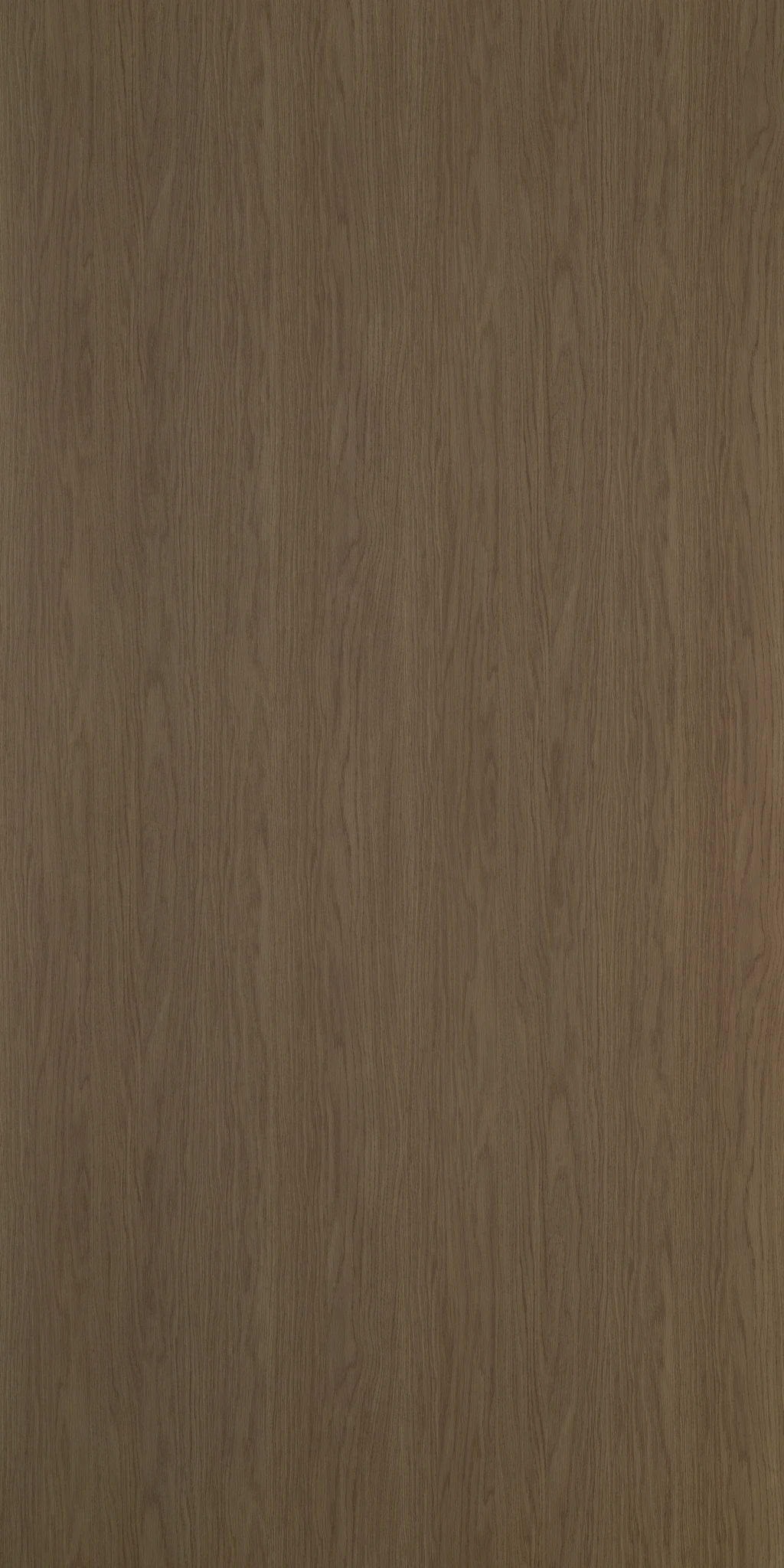 THEODORA OAK