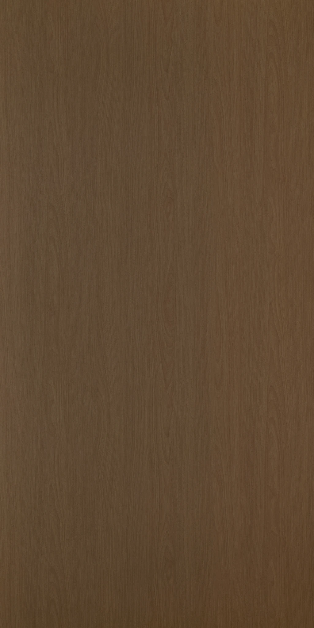EVREN WALNUT