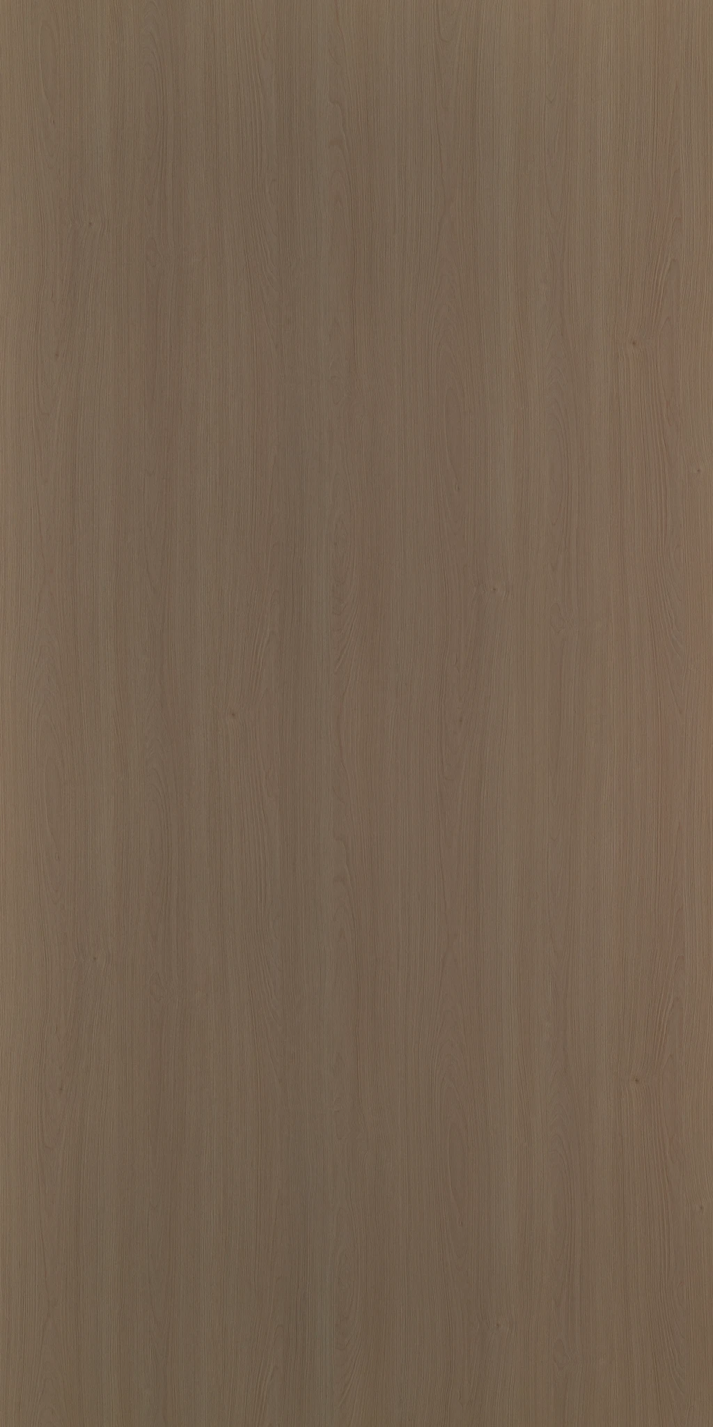 AVALON MAPLE