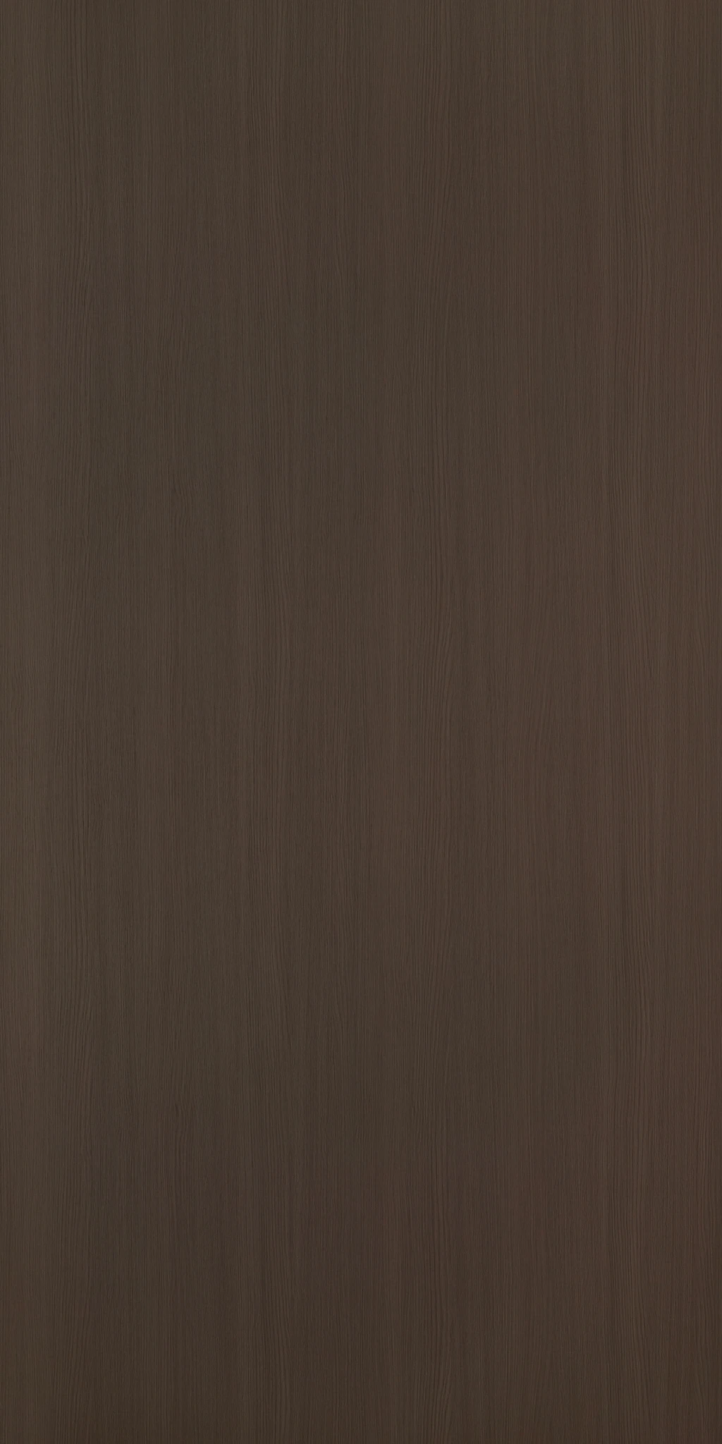 EVEREST OAK