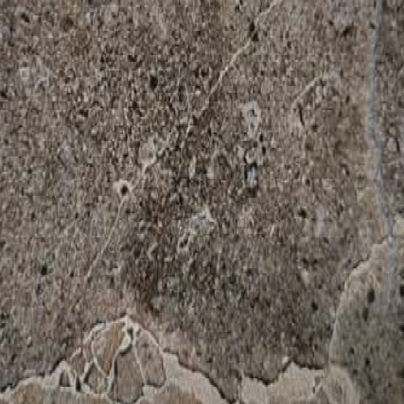 Graphite Stone