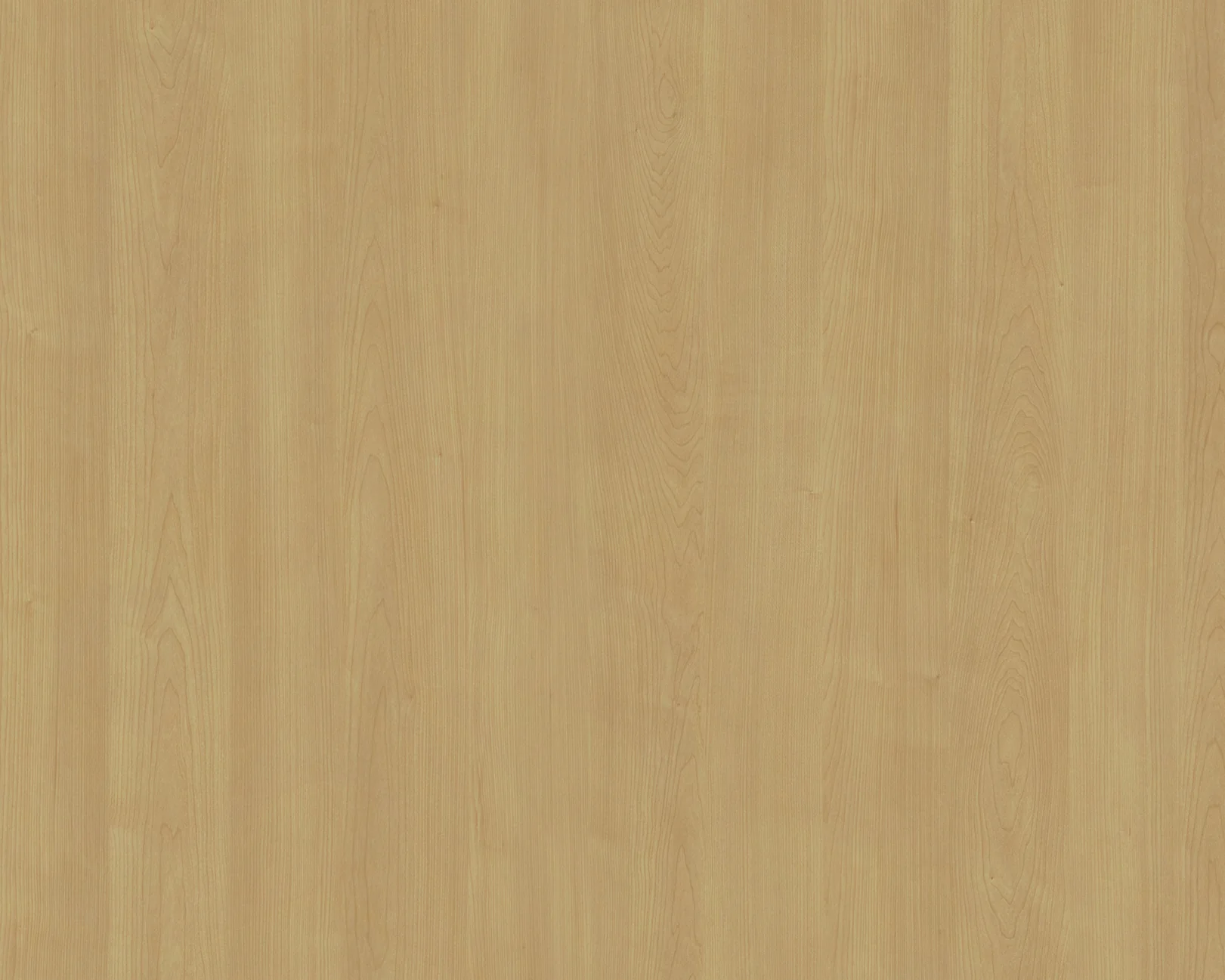 Aria Laurentian Maple