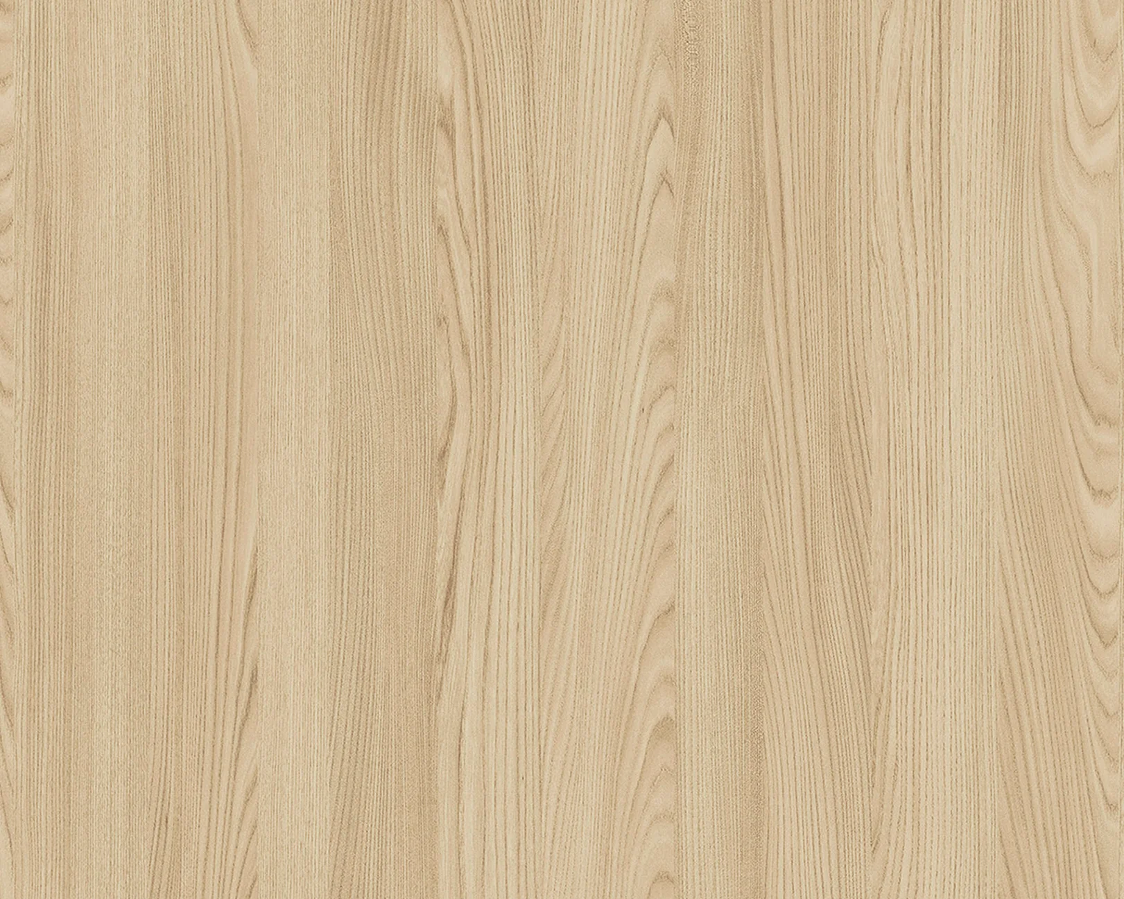 Noah Hoffmann Elm