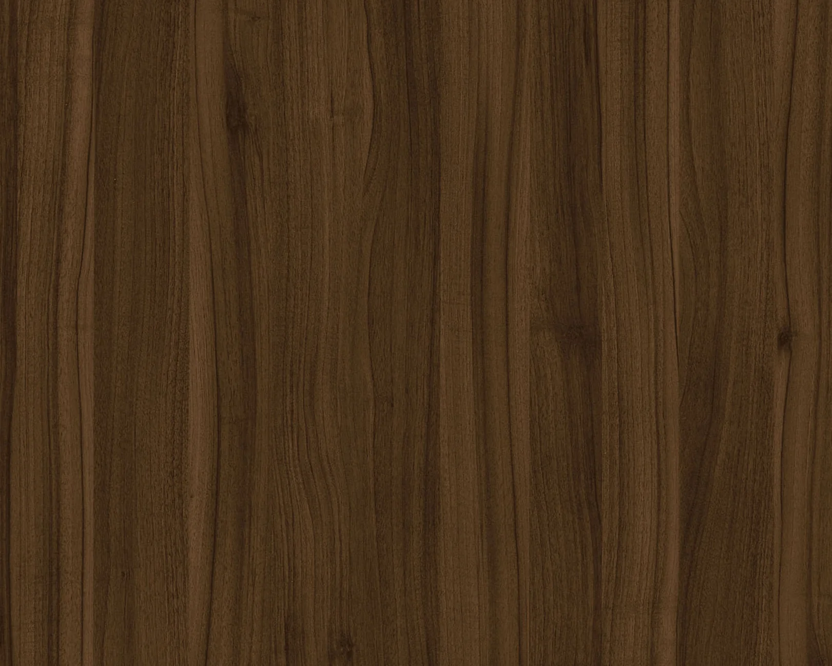 Taglio Marcello Walnut