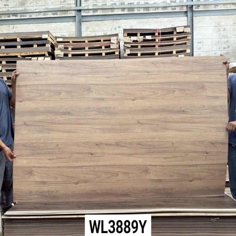 Shiori walnut