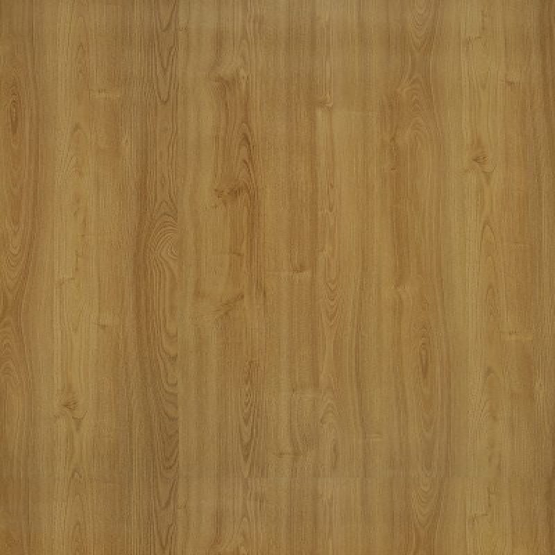 Lovis Chestnut
