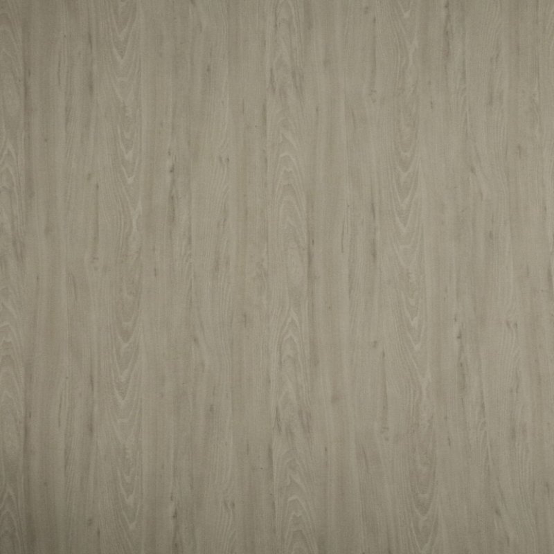 light carillo elm 