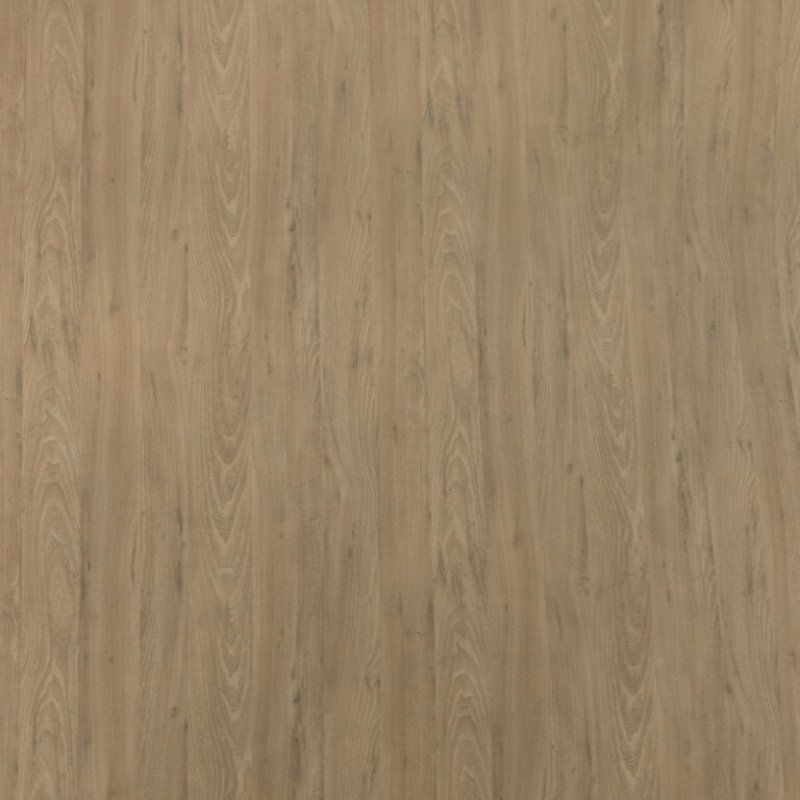 natural carillo elm