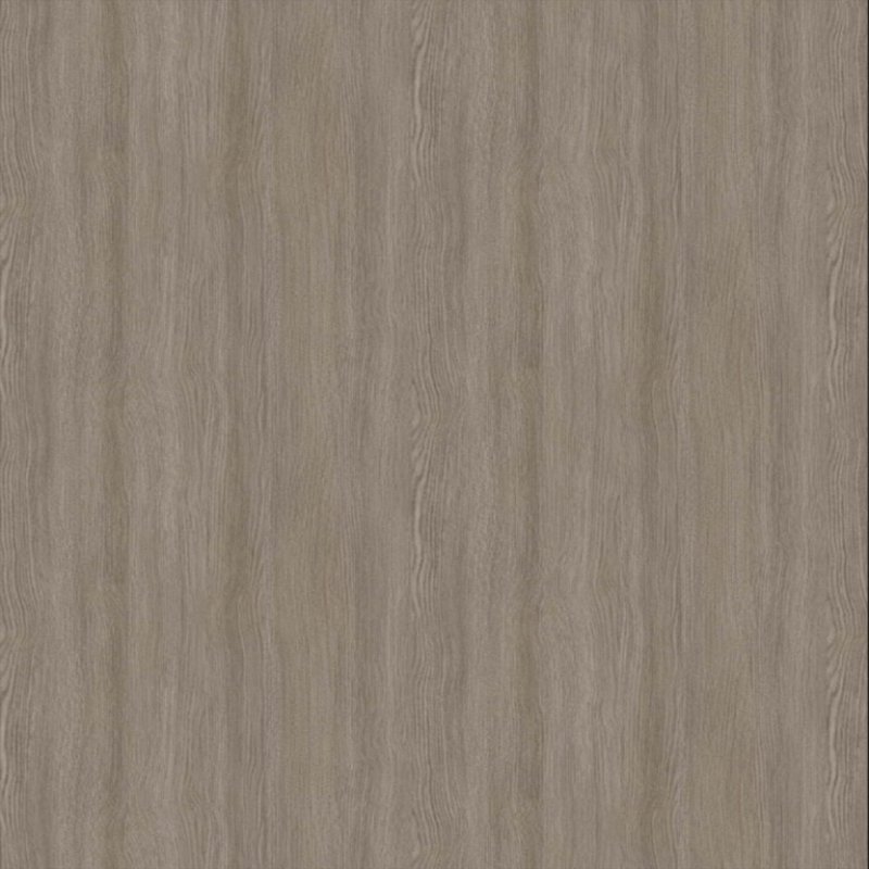 toledo elm 