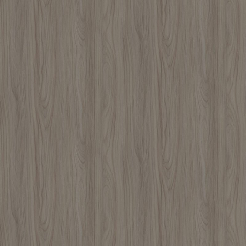 almond thadeo elm 