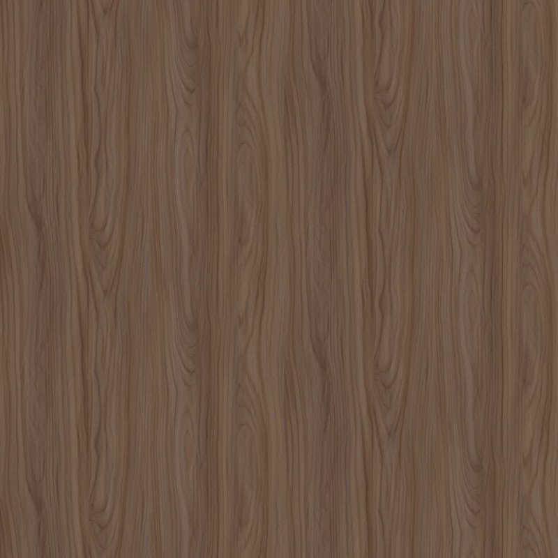 thadeo elm