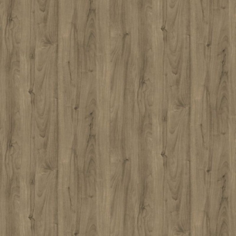 Shiori walnut