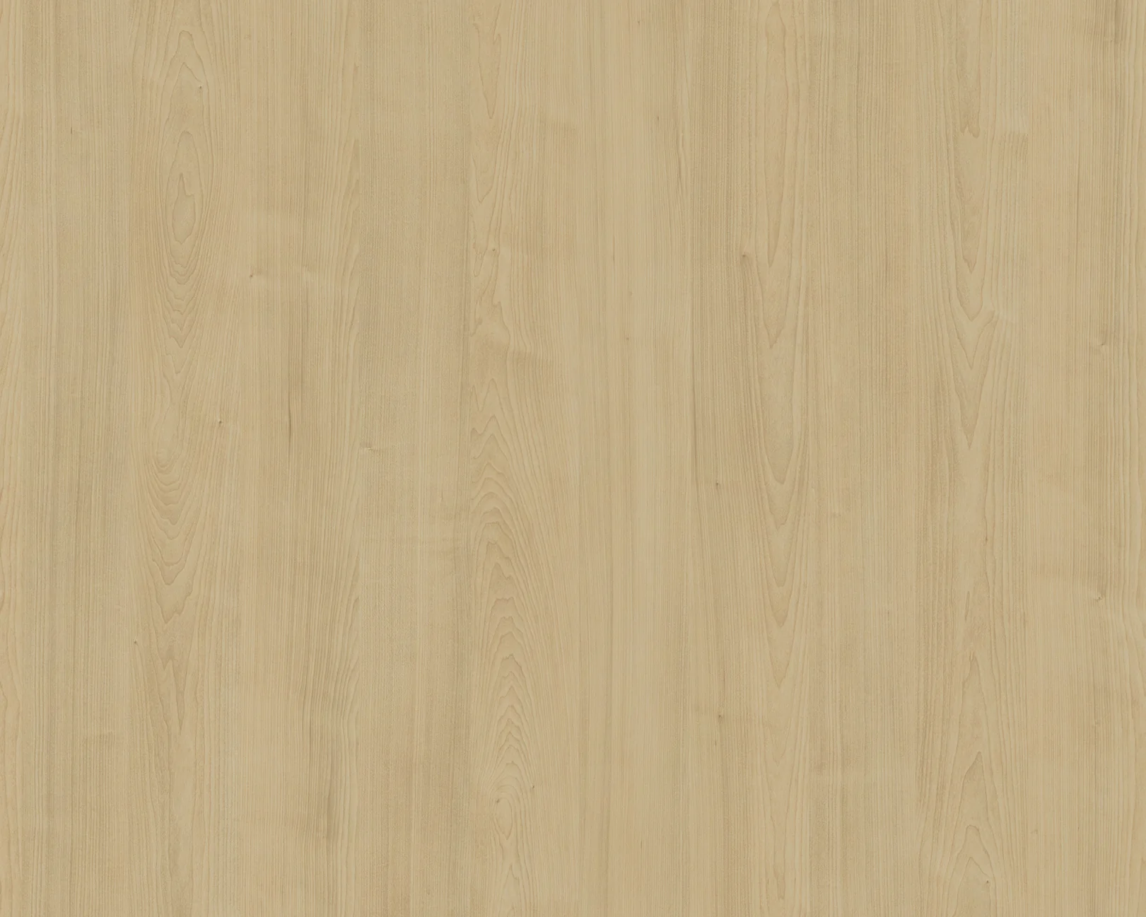 Leah Laurentian Maple