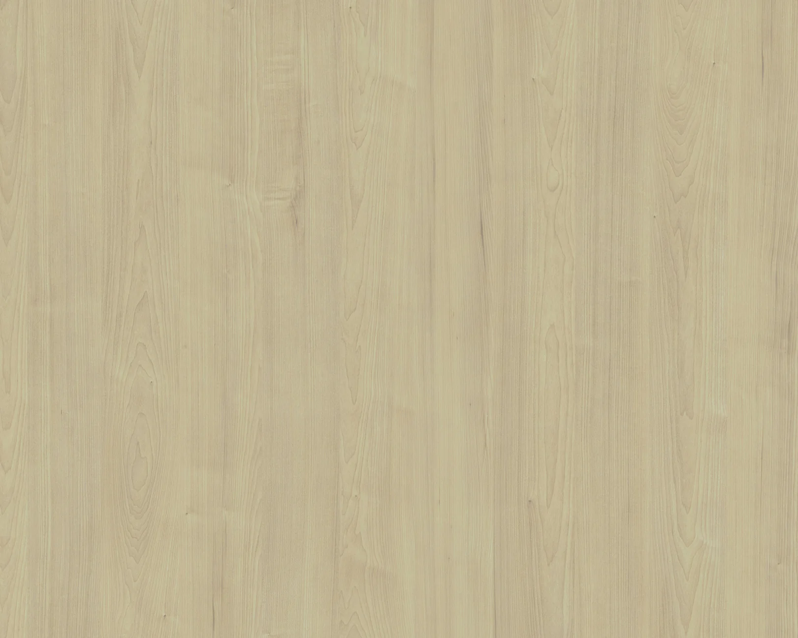 Maya Laurentian Maple