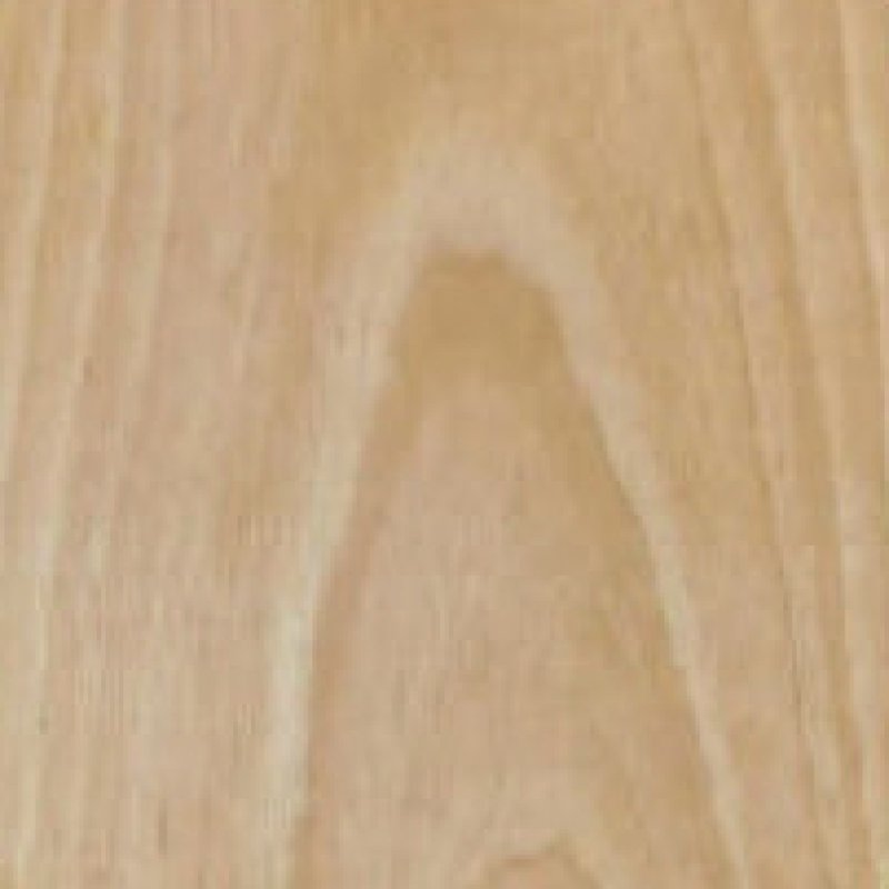 Natural Type NB509-Birch