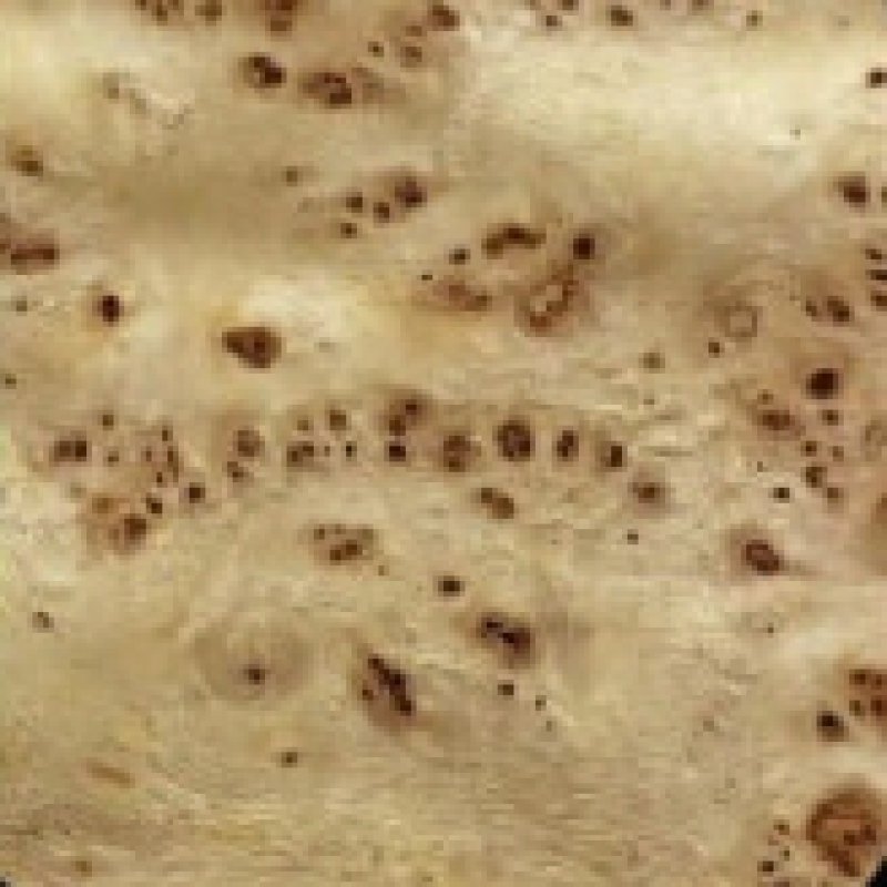 Natural Type NP517-Mapa Burls