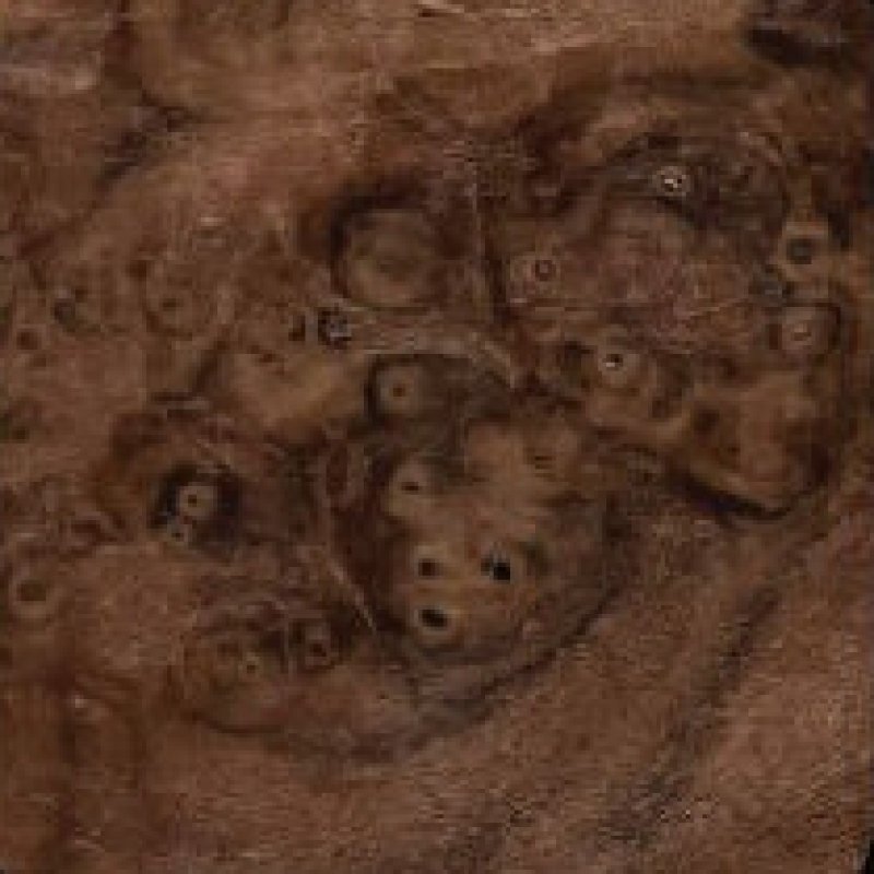 Natural Type NW532-walnut burls