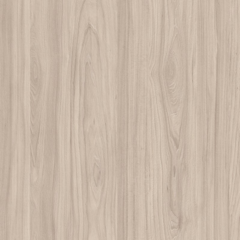 Swiss Elm Dust
