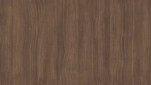 Brown Nordic Elm