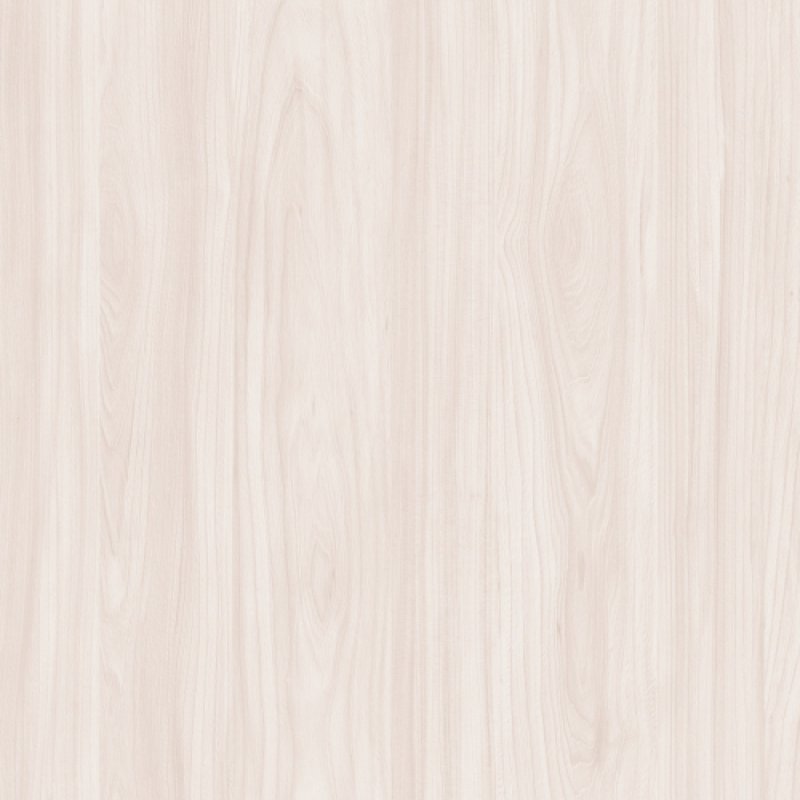 Swiss Elm Starlight