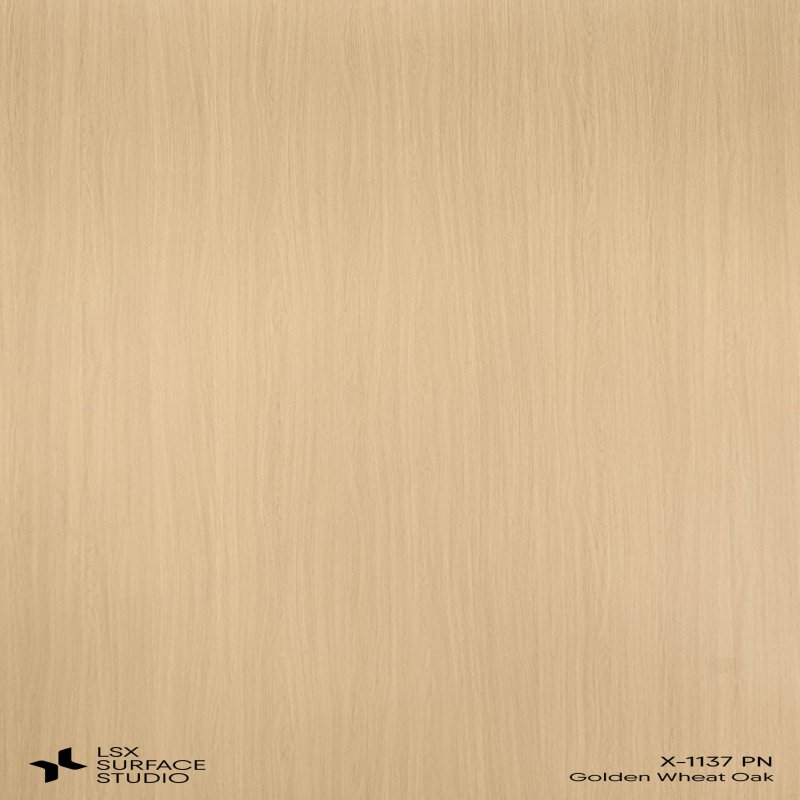 แผ่นลามิเนต สี Golden Wheat Oak